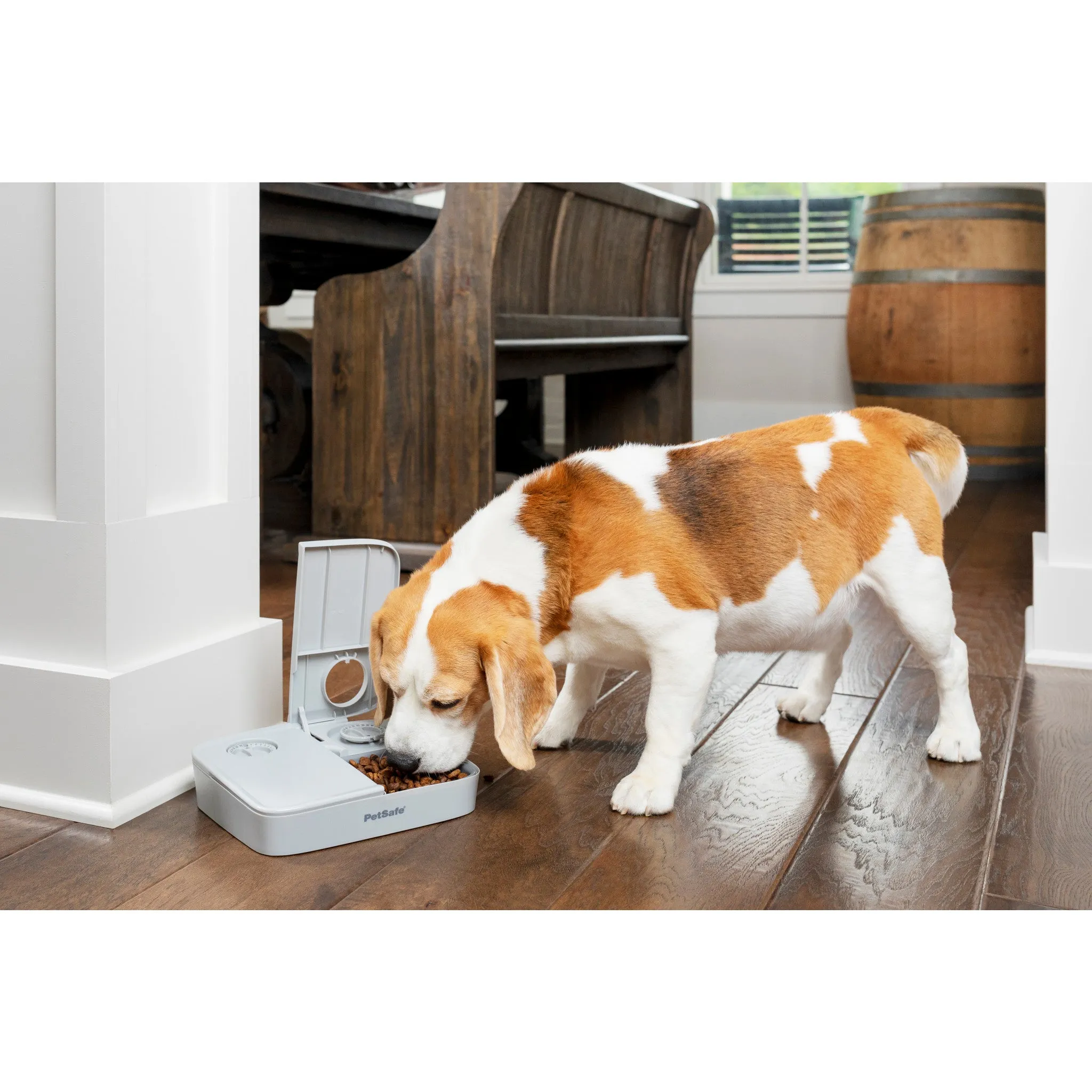 Automatic 2 Meal Pet Feeder