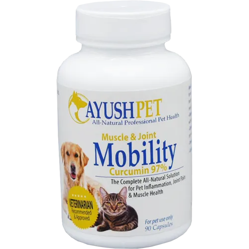 Ayush Herbs Pet Mobility Curcumin 97% 90 caps