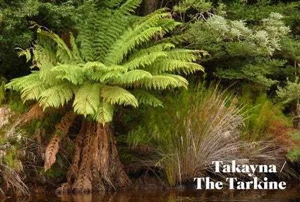 Discovering Natural Tasmania: Parks Reserves Forests Coasts