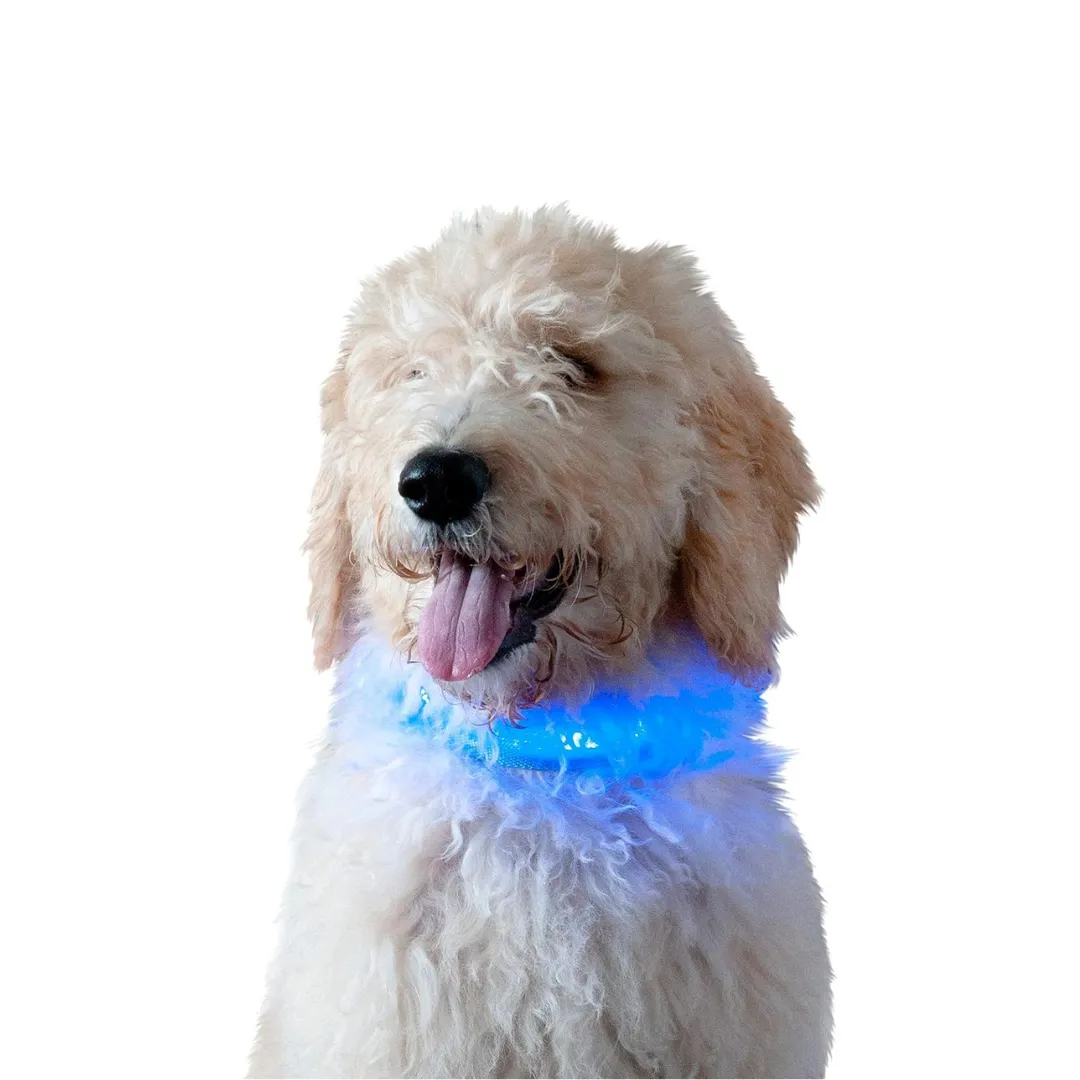 Furhaven LED Safety Light-Up Blue Dog Collar