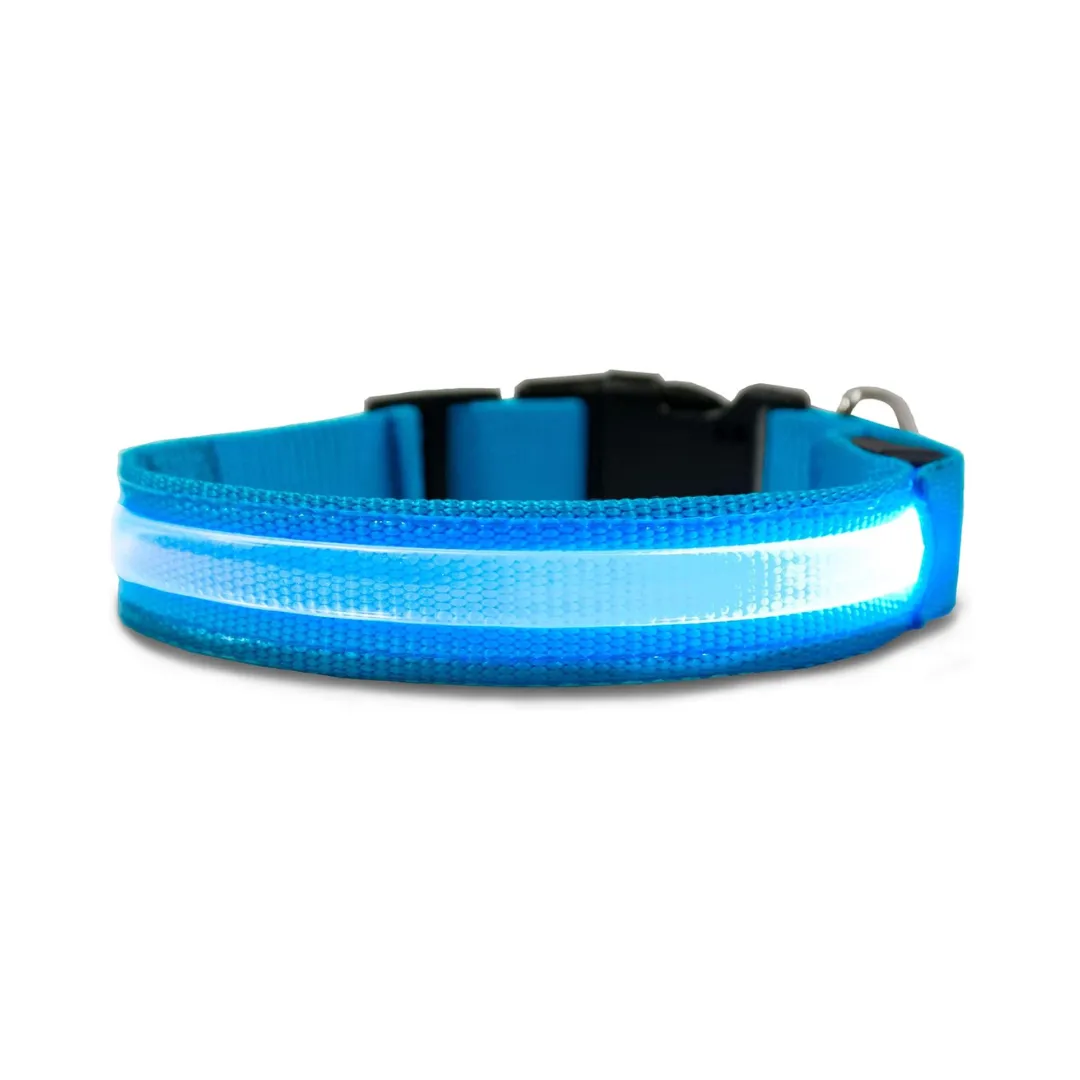 Furhaven LED Safety Light-Up Blue Dog Collar