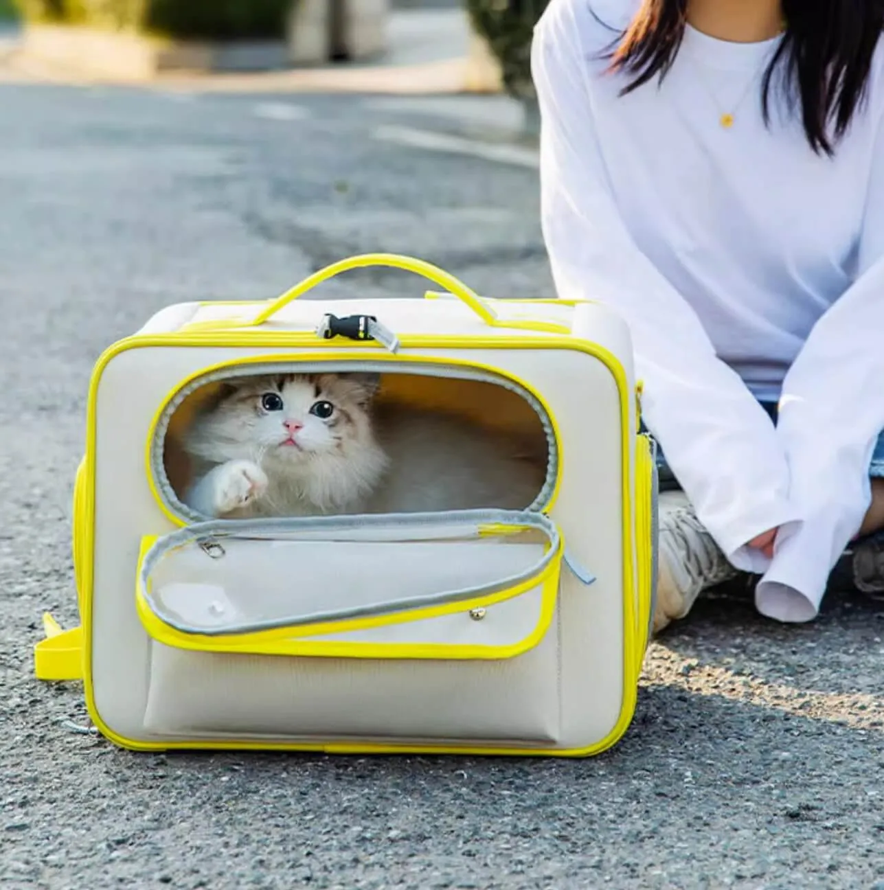 Large Space Pet Carrier Bag Travel Container for Cats Small Dogs