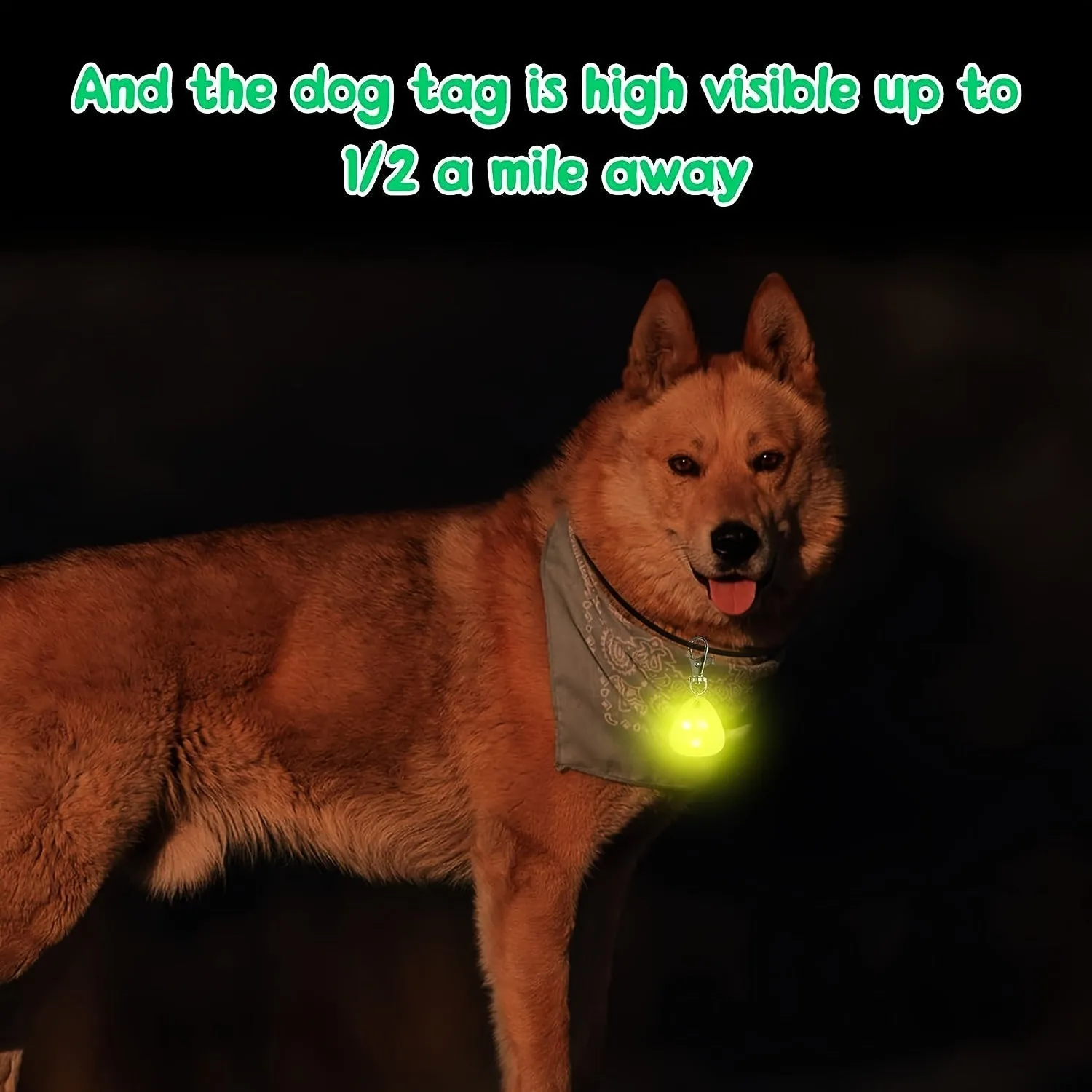 LED Pet Pendant Collar Illuminate Nighttime Walks Waterproof  Safe