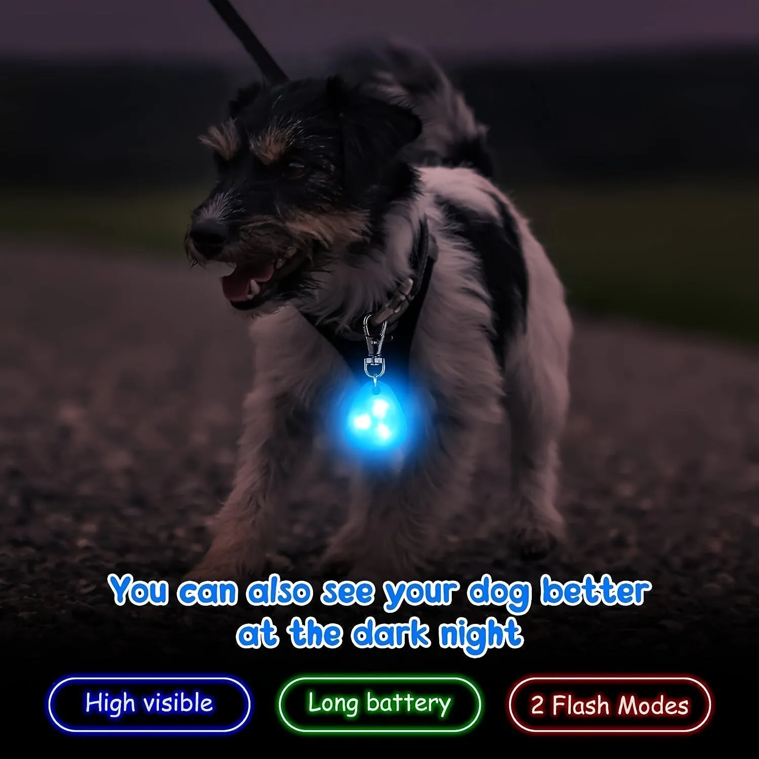 LED Pet Pendant Collar Illuminate Nighttime Walks Waterproof  Safe