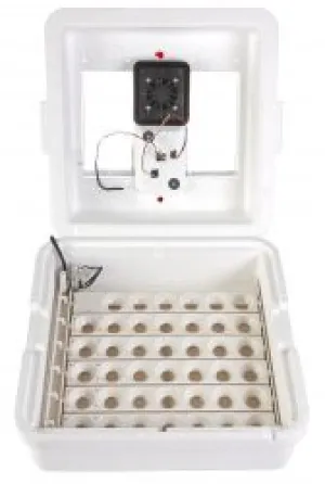 Little Giant Deluxe Incubator with Egg Turner