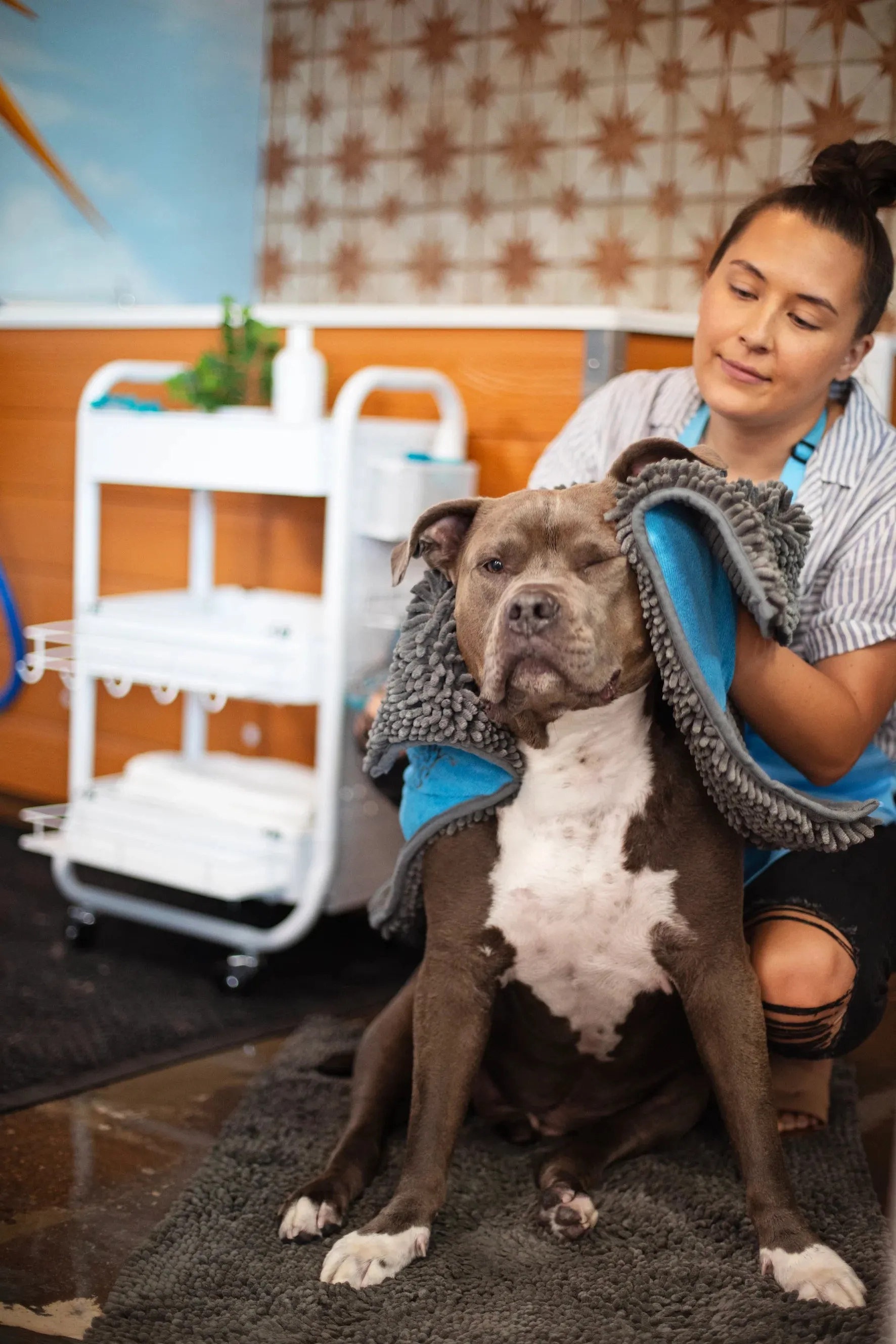 Microfiber Dog Drying Mat and Towel with Hand Pockets, Small, 31.5" x 21"