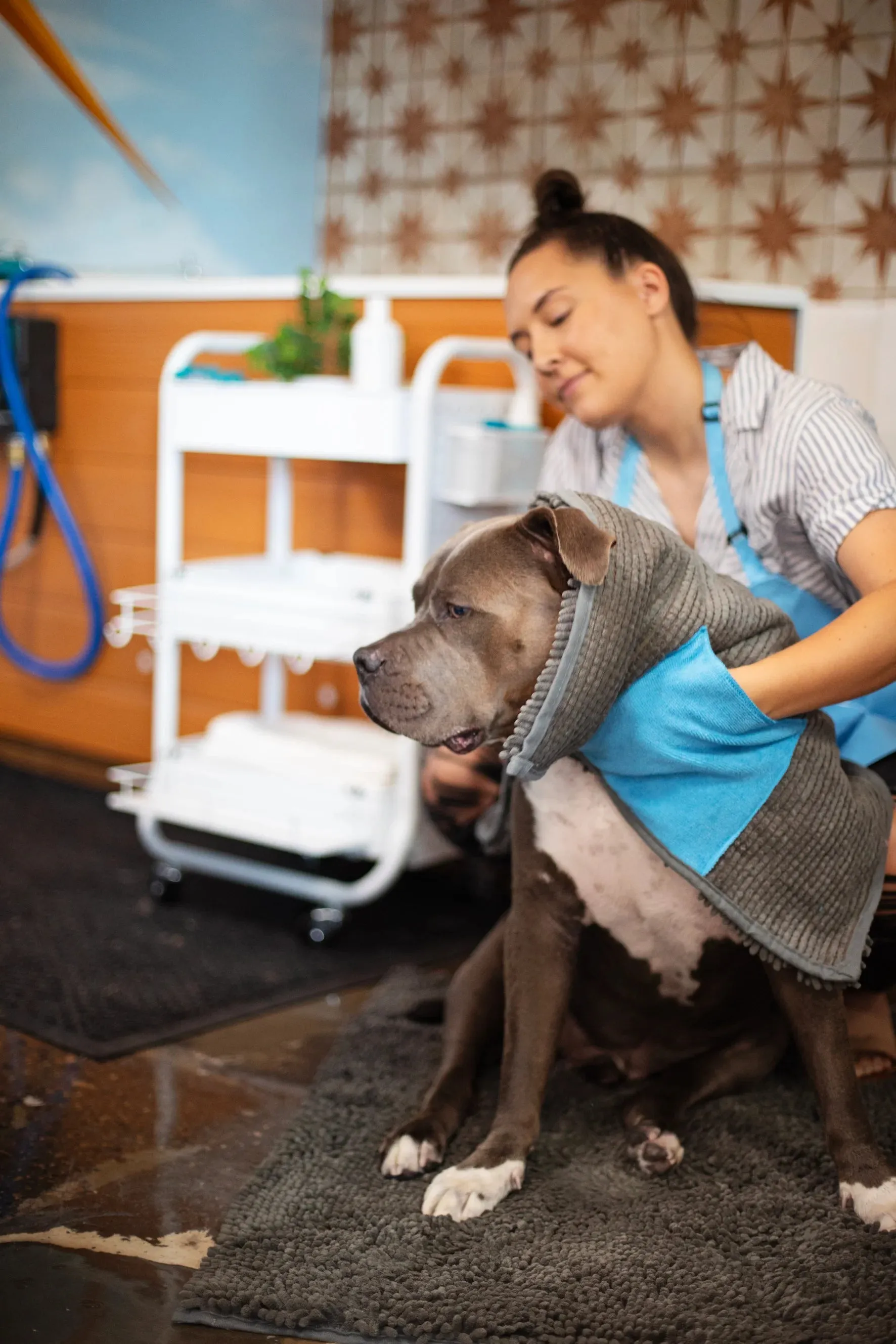 Microfiber Dog Drying Mat and Towel with Hand Pockets, Small, 31.5" x 21"