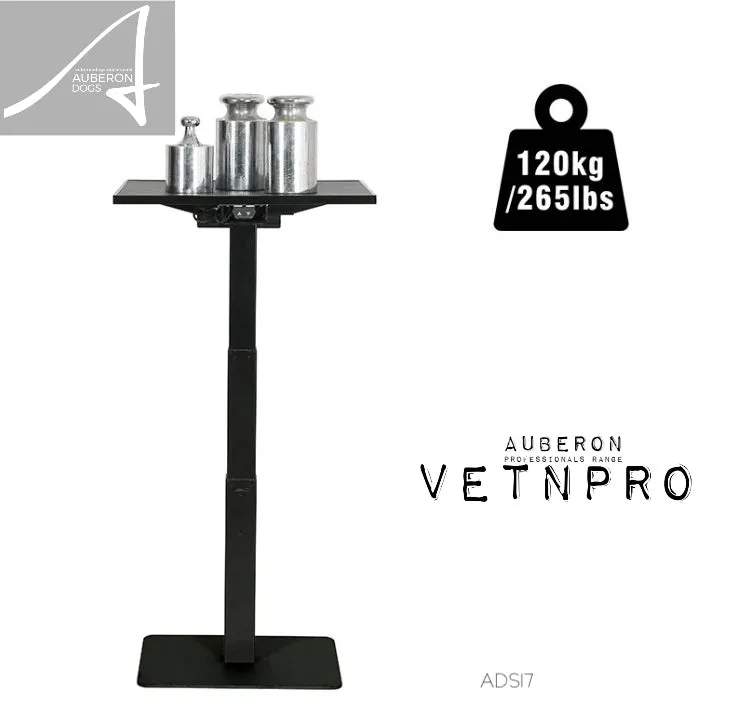 Minimalist Pedestal Smart USB  Telescopic Dog Grooming Table Electric Push Button Lift Huge 120kg Capacity Modern Sleek Superb Centrepiece of any Salon or Room