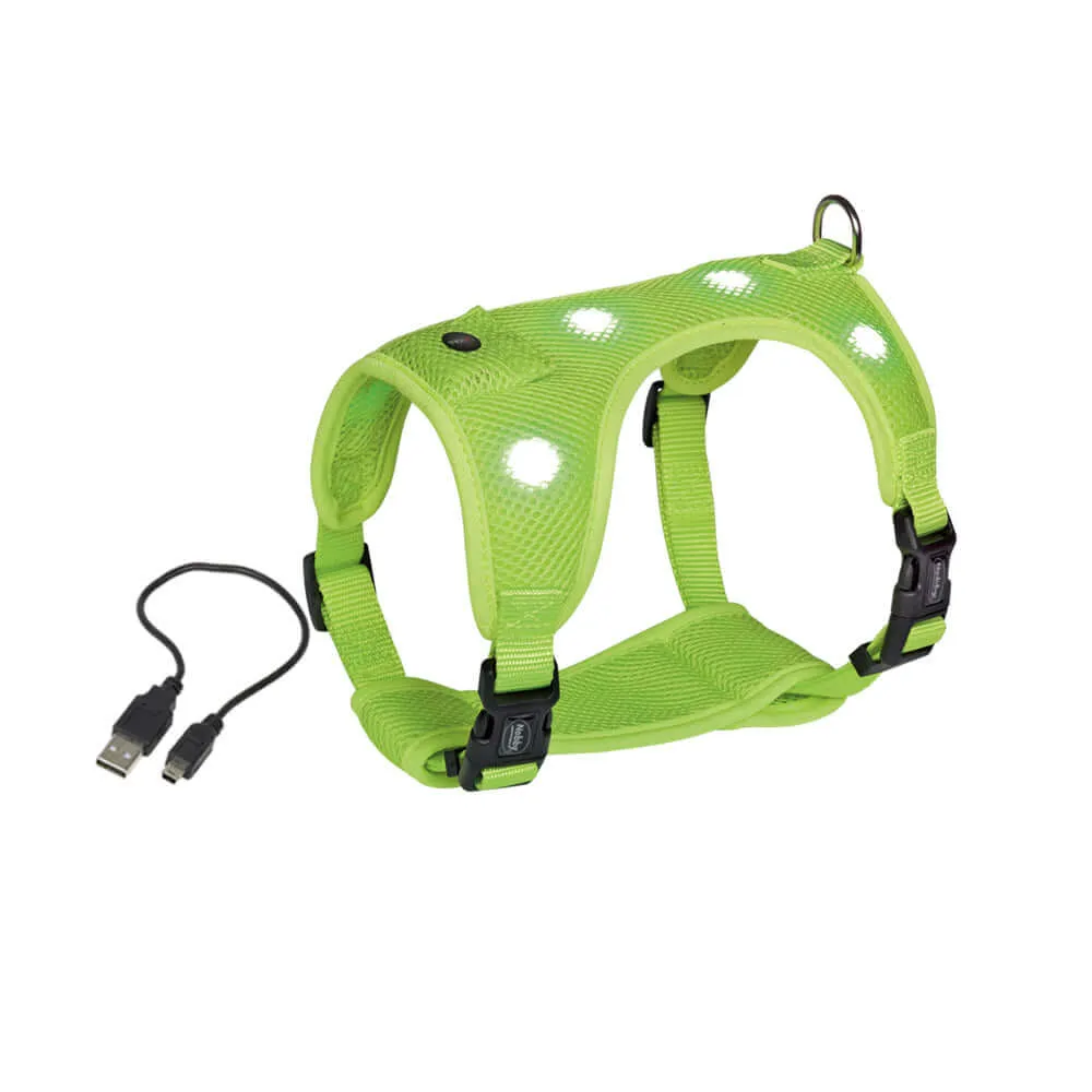 Nobby USB Rechargable LED Night Safety Light Dog Harness