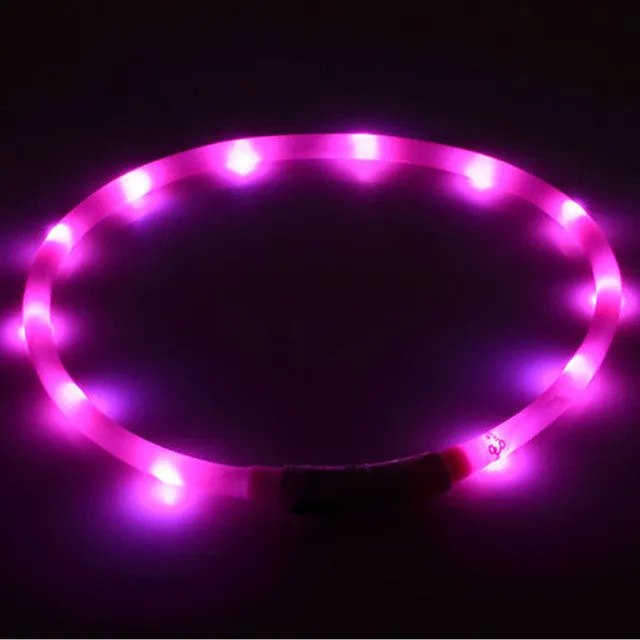 Outdoor Dog Collars USB luminous pet collar led light USB charging Cat dog collar Teddy Night Flashing Light Collar Pet supplies