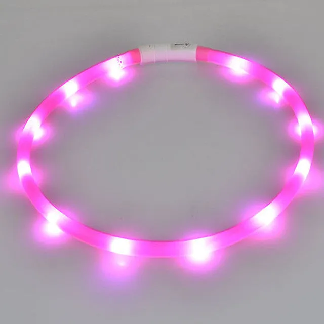 Outdoor Dog Collars USB luminous pet collar led light USB charging Cat dog collar Teddy Night Flashing Light Collar Pet supplies