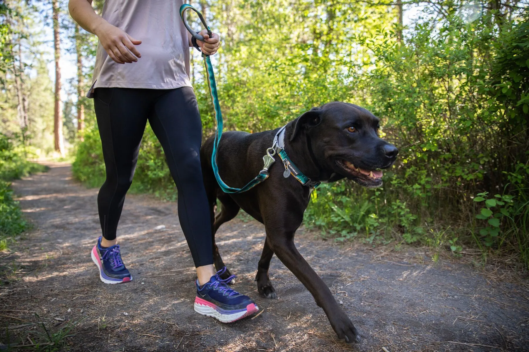 Ruffwear Crag™ Reflective & Multi-Use Dog Leash (Sunset)