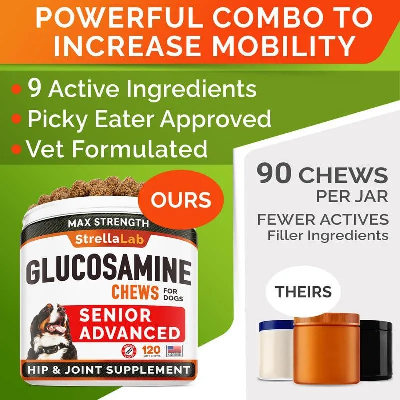 Senior Advanced Glucosamine Joint Supplement for Dogs.