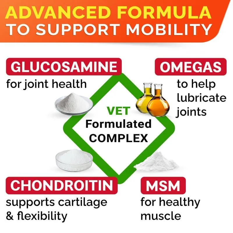 Senior Advanced Glucosamine Joint Supplement for Dogs.