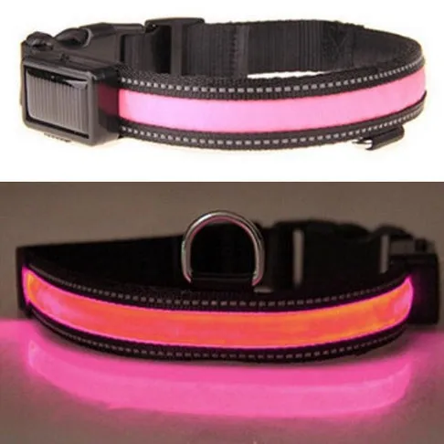 Solar USB Rechargeable LED Night Safety Glow Pet Collar