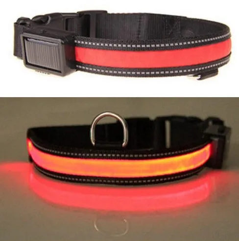 Solar USB Rechargeable LED Night Safety Glow Pet Collar