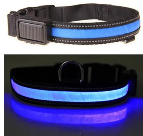 Solar USB Rechargeable LED Night Safety Glow Pet Collar