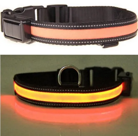 Solar USB Rechargeable LED Night Safety Glow Pet Collar