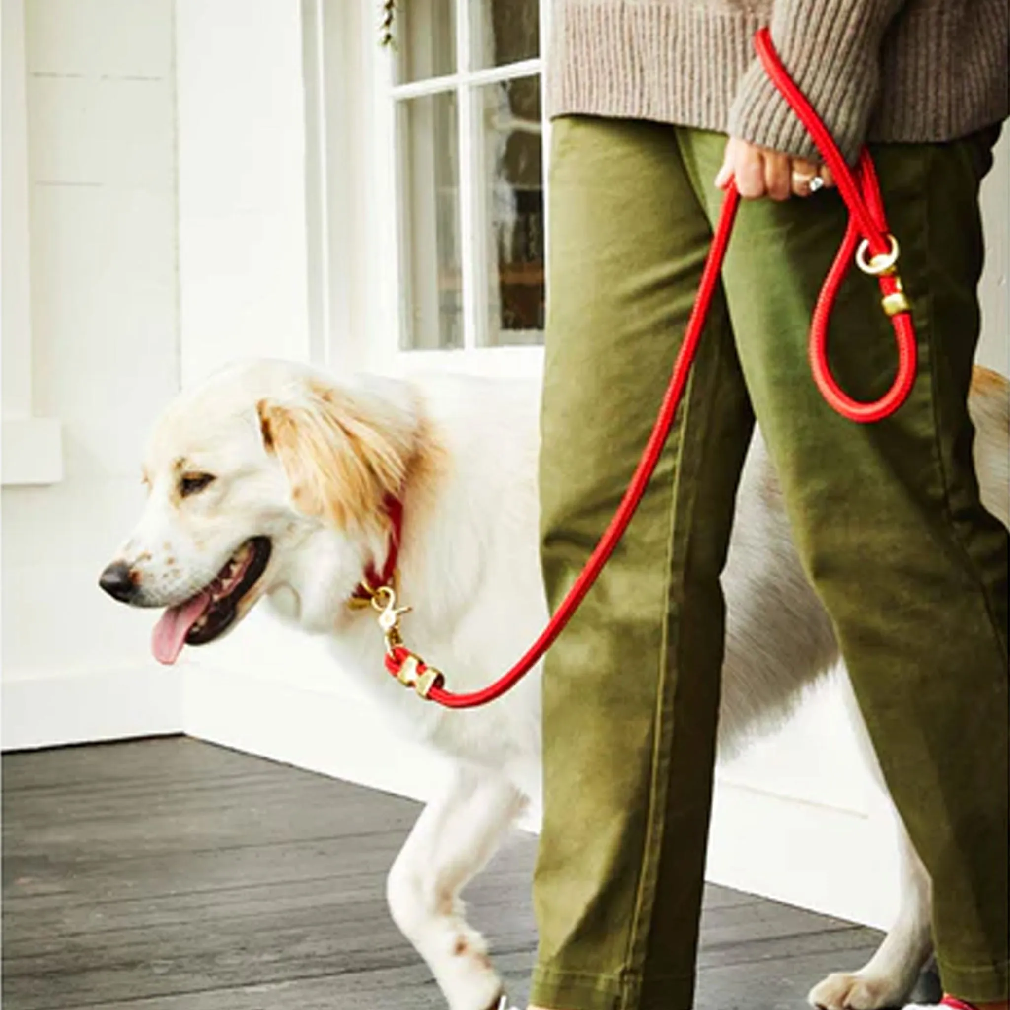 The Foggy Dog Rope Leash - Ruby