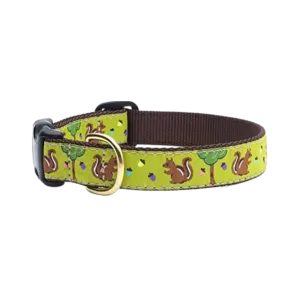 Up Country Nuts Dog Collar