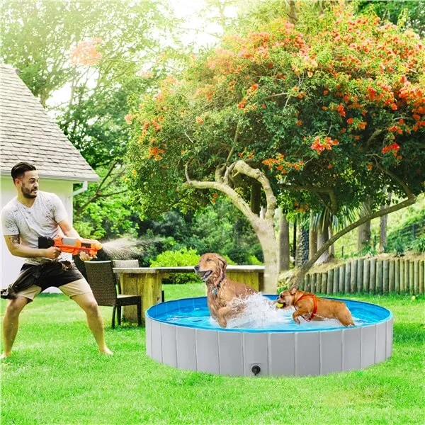 Yaheetech Pet Pool