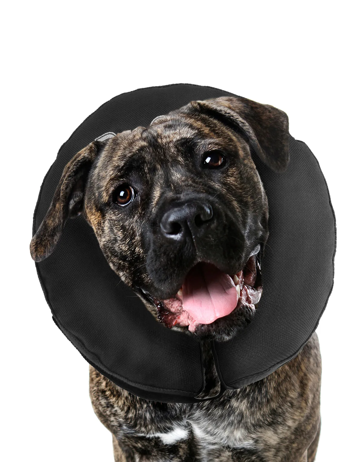 ZenPet ZenCollar The Original Inflatable Recovery Collar for Dogs